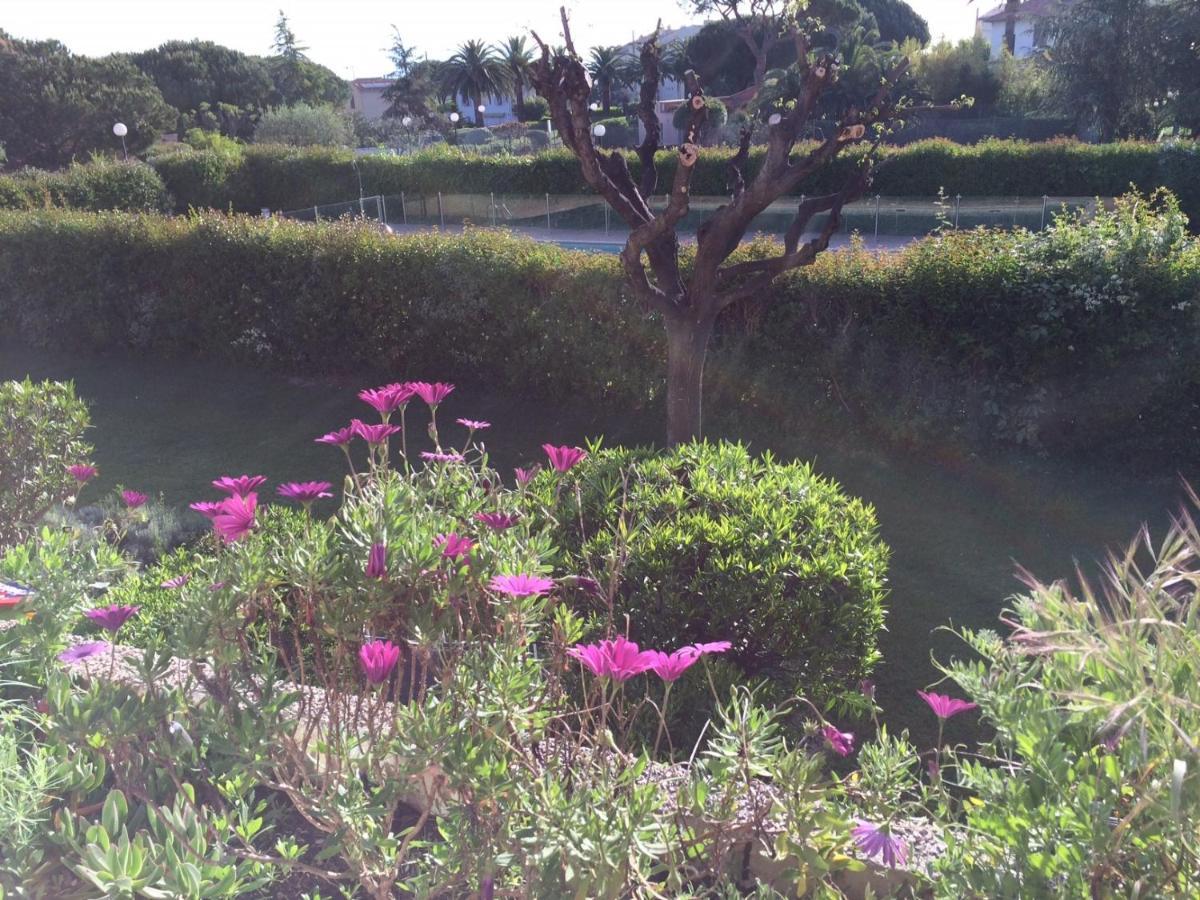 Appartement 2 Pieces, Renove, 2 Piscines+Tennis, Mer, Climatisation Antibes Ngoại thất bức ảnh